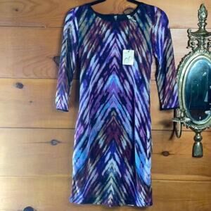 NWT Amelia Women's Multicolor Crew Neck 3/4 Sleeve Pullover Mini Sheath Dress XS